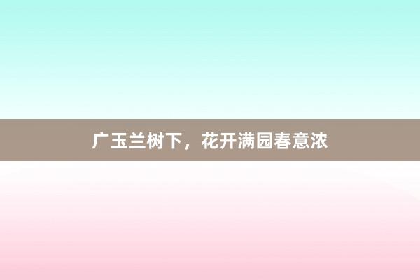 广玉兰树下，花开满园春意浓